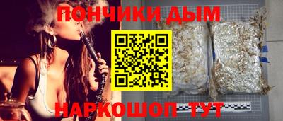 гидра Будённовск
