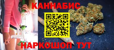 гидра Будённовск